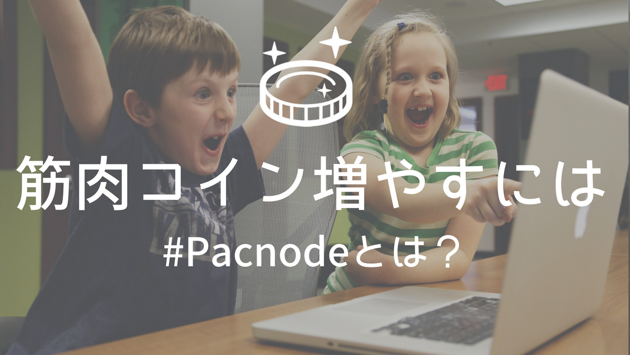 ストロングハンズマスターノードのMNを提供するPacnodeってナニ？(6/26更新。完結編)｜寝ながら投資